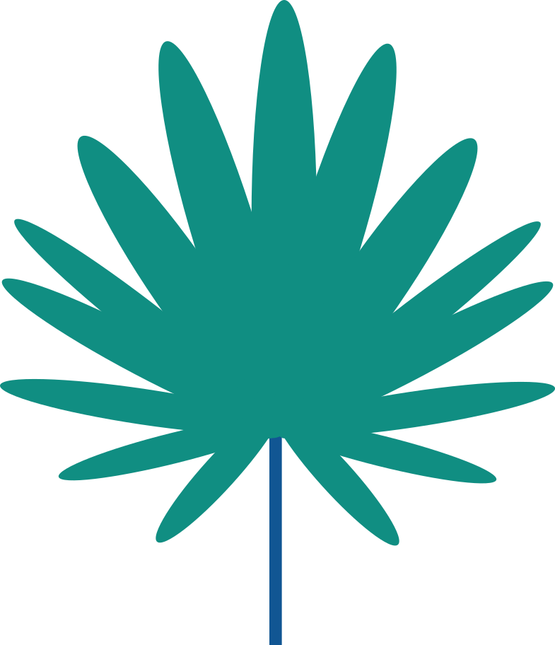 palm tree branch Illustration in PNG, SVG