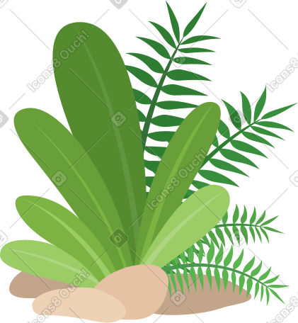 热带植物 PNG, SVG