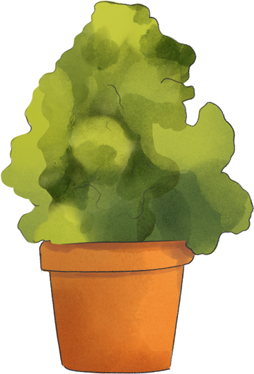 plant in the pot PNG, SVG