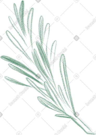 Rosemary sprig PNG, SVG