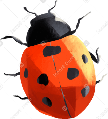 ladybug PNG, SVG