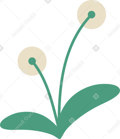 dandelion Illustration in PNG, SVG