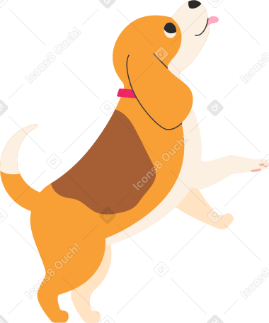 beagle dog standing PNG, SVG
