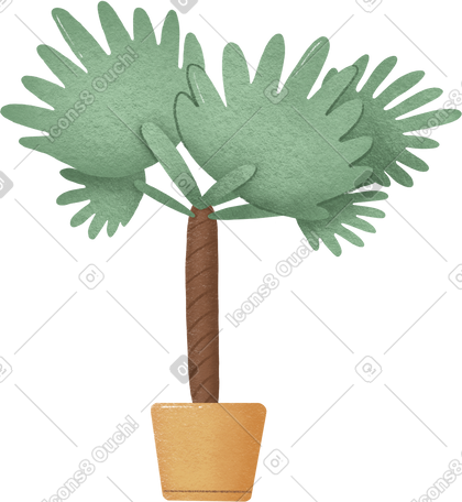 植物 PNG, SVG