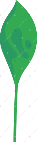 green big leaf Illustration in PNG, SVG