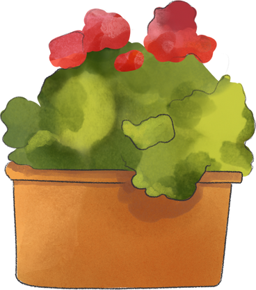 red flower in a pot PNG, SVG