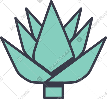 仙人掌 PNG, SVG