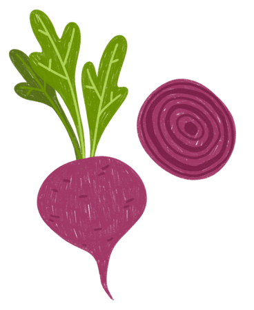 Beet and beet slice PNG, SVG