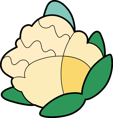 cauliflower PNG, SVG