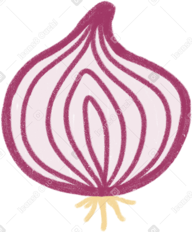 onion half PNG, SVG