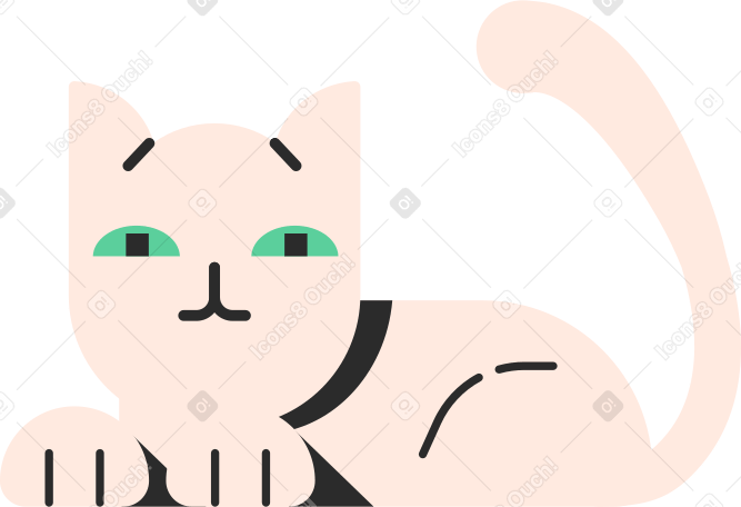 cat PNG, SVG