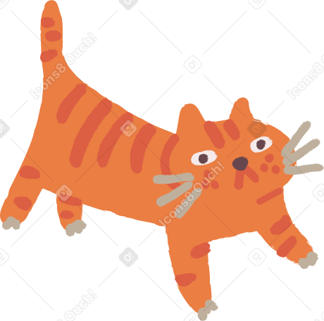 cat standing PNG, SVG