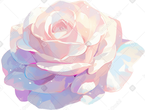 Rose blanche PNG, SVG