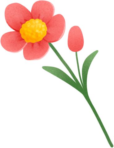 Red flower PNG, SVG