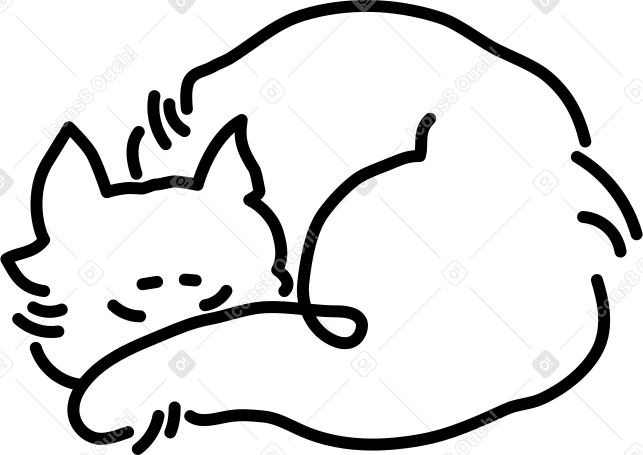gato PNG, SVG