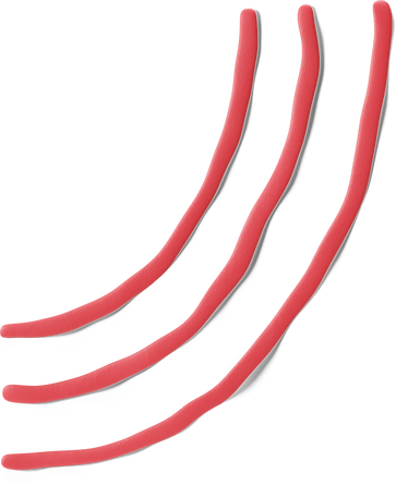 Red stripes  Illustration in PNG, SVG