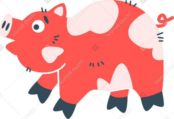 pig Illustration in PNG, SVG
