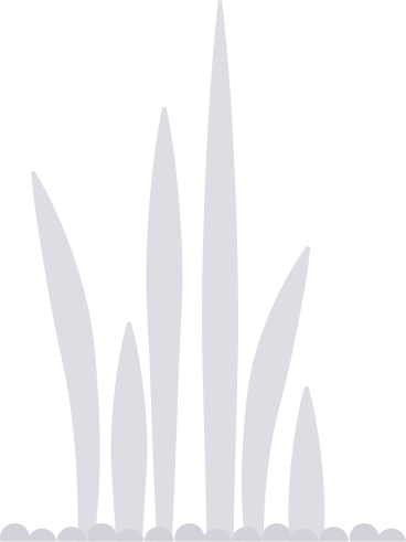 Анимированная иллюстрация растение в GIF, Lottie (JSON), AE