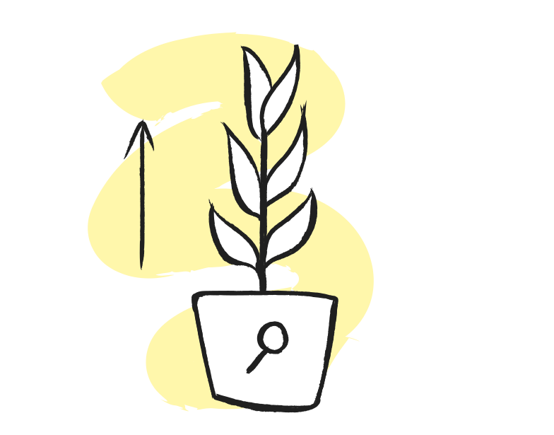 Immagine Vettoriale crescita seo in PNG e SVG in stile | Illustrazioni Icons8
