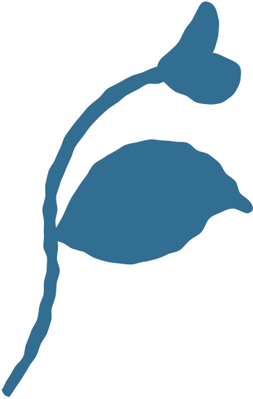 Small branch with leaves PNG, SVG