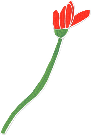 red bud on a long green stem PNG, SVG