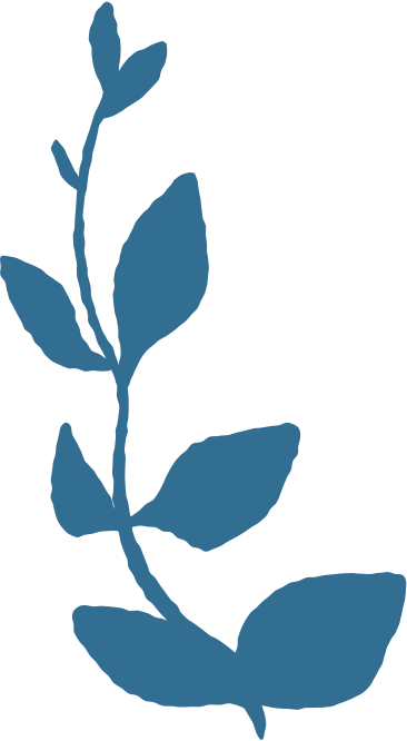 branch with leaves decoration PNG, SVG