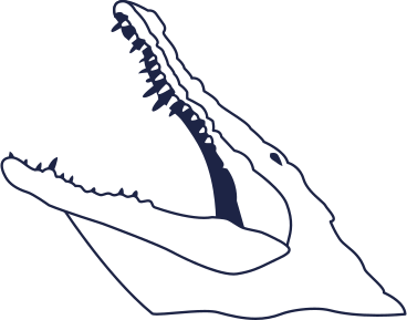 crocodile line PNG, SVG