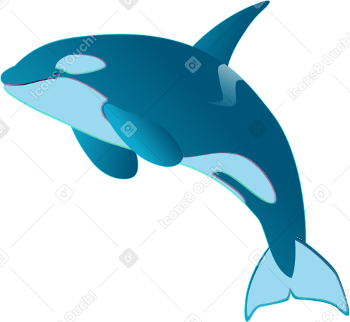 springender orca PNG, SVG