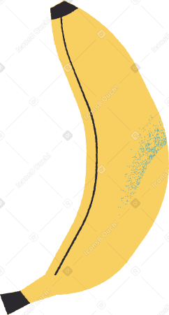 banana Illustration in PNG, SVG