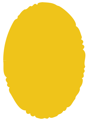 Yellow ellipse PNG, SVG