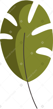 long green oval leaf Illustration in PNG, SVG