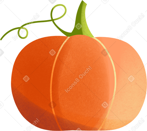 orange pumpkin PNG, SVG