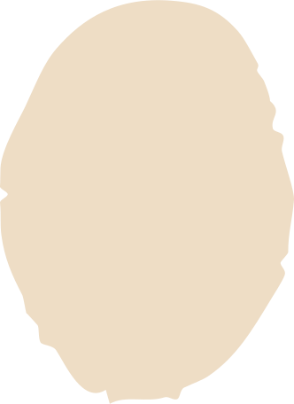 beige ellipse Illustration in PNG, SVG