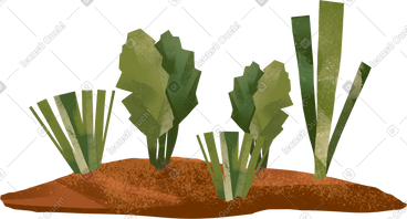 Garden bed PNG, SVG