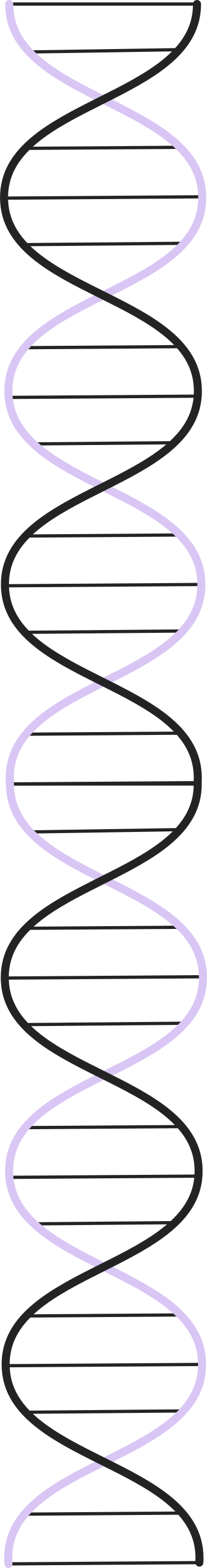 molecular chain diagram PNG, SVG