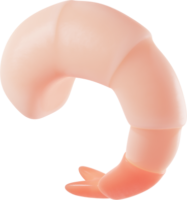 shrimp PNG, SVG