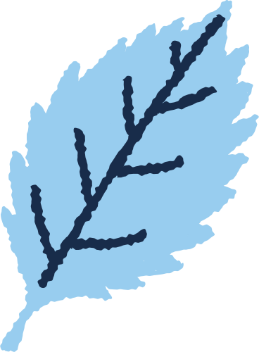 Light blue leaf PNG、SVG