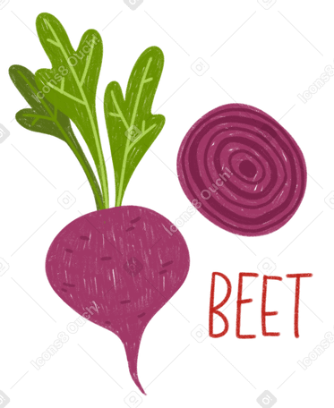Beet, beet slice and lettering PNG, SVG