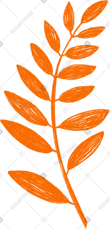 orange branch with laurel leaves two PNG, SVG