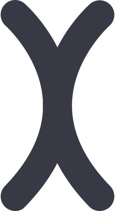 x PNG, SVG