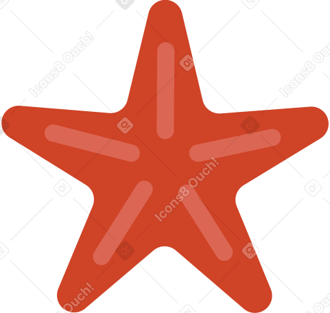 seashell star PNG, SVG