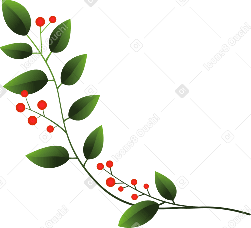Зеленая ветка с красными ягодами в PNG, SVG