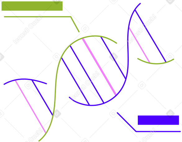 Estructura de adn con descripcion PNG, SVG