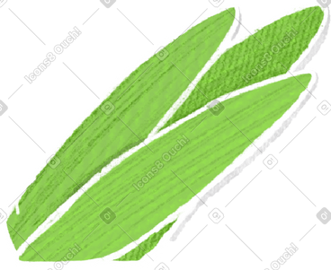 Green leaves PNG, SVG