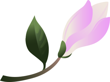 small magnolia bud on a twig PNG, SVG