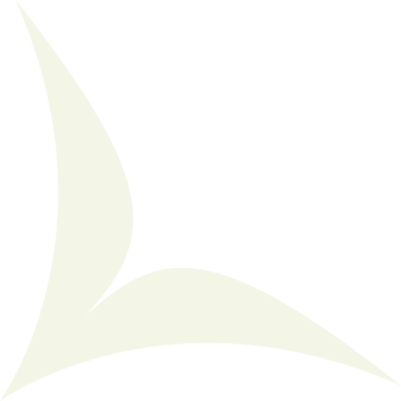 uccello marino PNG, SVG