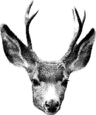 鹿の頭 PNG、SVG