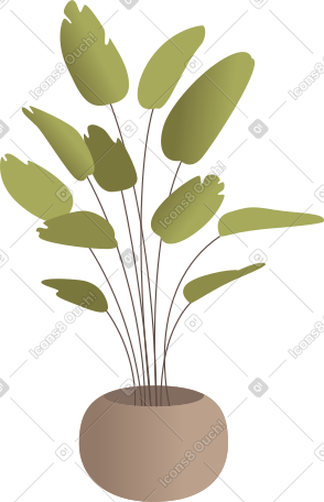 盆栽植物 PNG, SVG