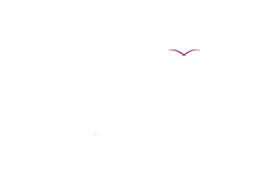 Illustration animée Choucas volants aux formats GIF, Lottie (JSON) et AE