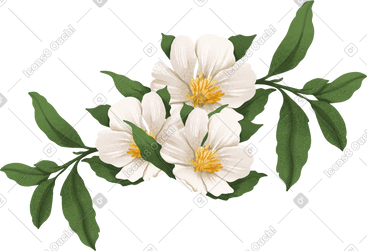 白色玫瑰果花小花束 PNG, SVG